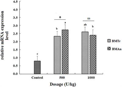 Effect of dietary β-mannanase supplementation on growth performance, digestibility, and gene expression levels of Cyprinus carpio (Linnaeus) fingerlings fed a plant protein-rich diet